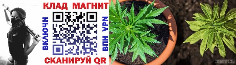 Купить закладку Кокаин  Канабис  МЕТАДОН  APVP  АМФЕТАМИН  ГАШ  Мефедрон  Ленск