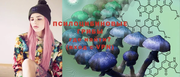 синтетический гашиш Арсеньев